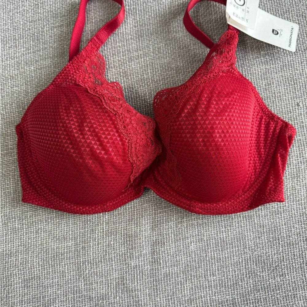 Elegant Scarlet Lace Women's Bra